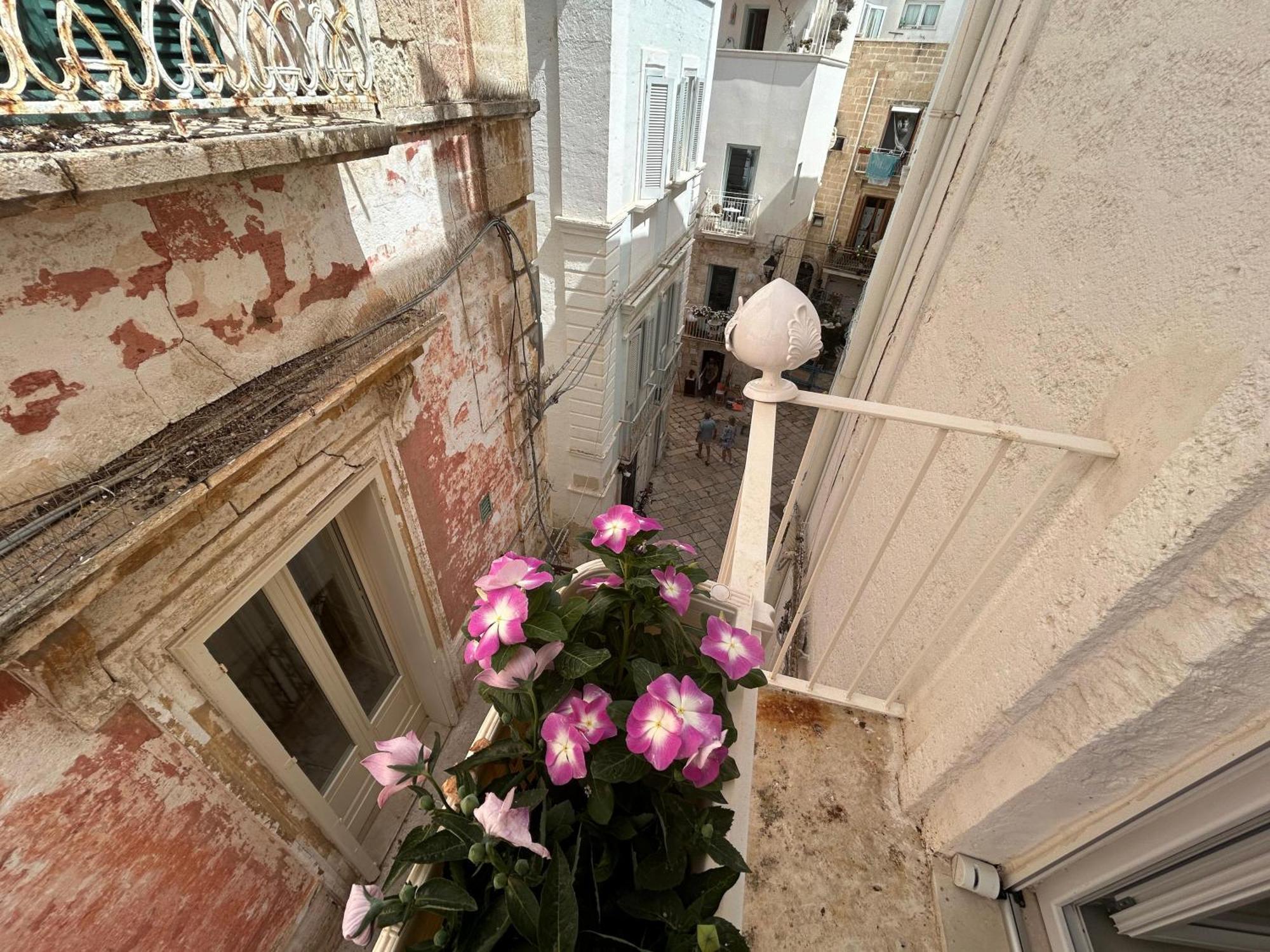 Trame - La Naca Sul Porto Bed and Breakfast Polignano a Mare Eksteriør billede