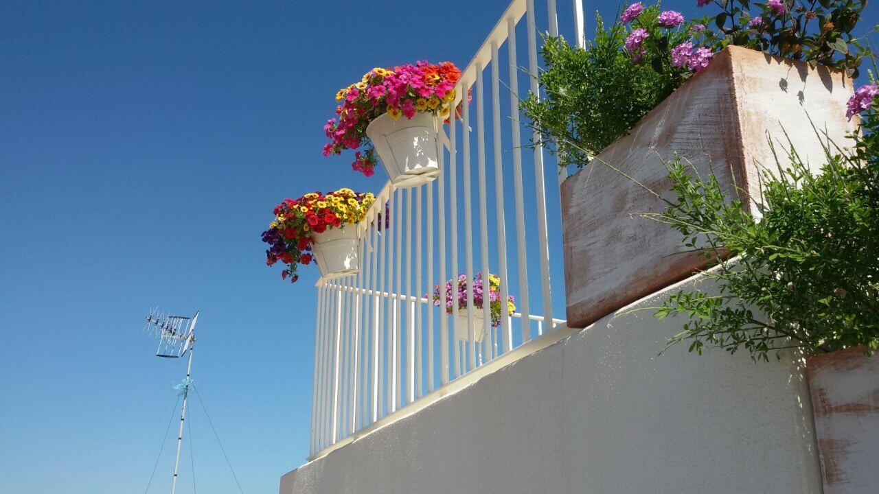 Trame - La Naca Sul Porto Bed and Breakfast Polignano a Mare Eksteriør billede